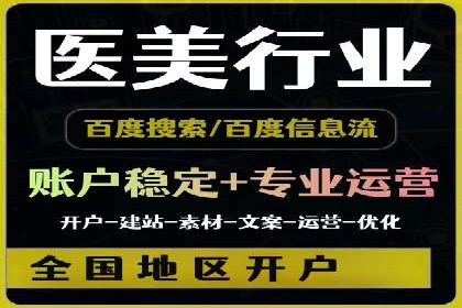 行业报告：专业SEM托管的成功实践与挑战